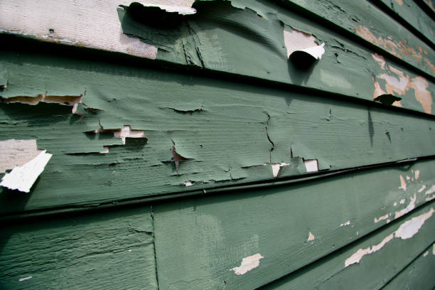Best Stone Veneer Siding  in Martinsville, VA