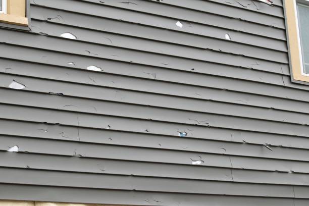 Best Residential Vinyl Siding Installation  in Martinsville, VA