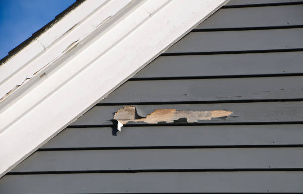 Best Fiber Cement Siding Installation  in Martinsville, VA